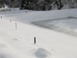 IMG_7537
