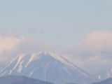 IMG_7530